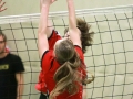150314_Spieltag 17_094.jpg